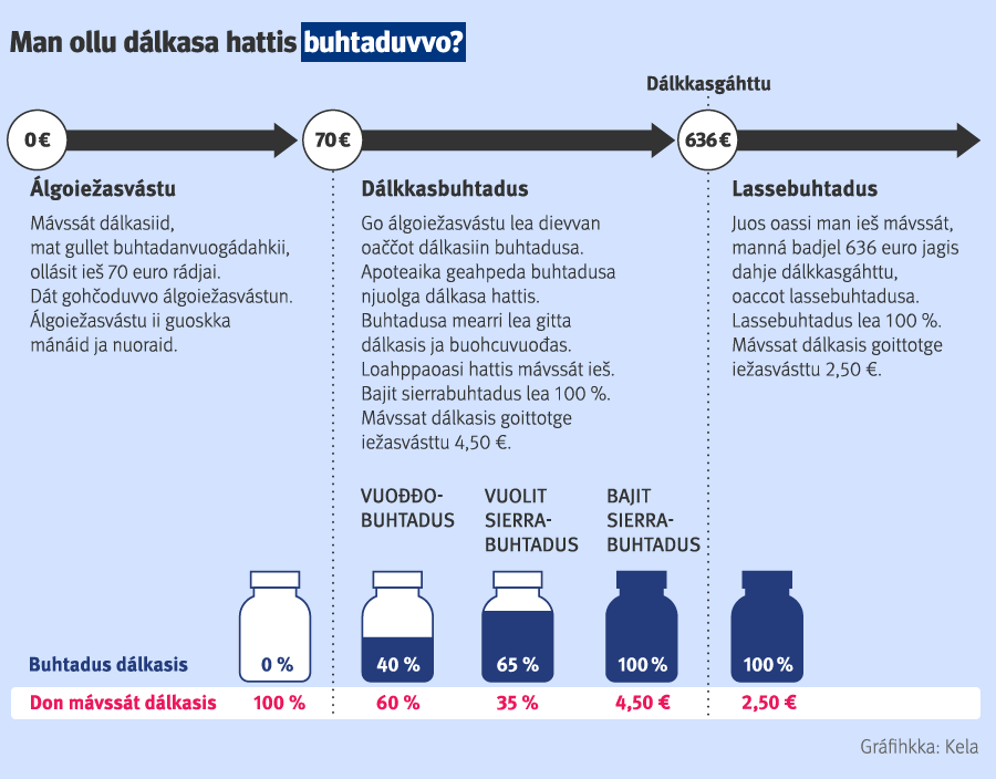 Govas čilgejuvvo, man ollu dálkasa hattis buhtaduvvo. Oaččot dálkasiin Kela buhtadusa dan maŋŋá, go álgoiežasvástu lea dievvan. Álgoiežasvástu lea 70 euro kaleandarjagis. Mávssát dálkasiid ollásit ieš dan rádjai. Álgoiežasvástu ii guoskka mánáid iige nuoraid. Álgoiežasvásttu dievvama maŋŋá oaččot dálkkasbuhtadusa. Vuođđobuhtadus lea 40 proseantta dálkasa hattis. Muhtun dálkasiin sáhtát oažžut sierrabuhtadusa, mii lea stuorát go dábálaš buhtadus. Vuolit sierrabuhtadus lea 65 proseantta. Bajit sierrabuhtadus lea 100 proseanta, ja mávssát dálkasis 4,50 euro. Jos gártat oastit ollu dálkasiid, sáhtát oažžut dálkkasgoluin lassebuhtadusa. Oaččot lassebuhtadusa, jos oasit maid mávssát ieš, mannet badjel 636 euro jagis dahje dálkkasgáhtu. Loahppa jagi mávssát juohke dálkasis dušše 2,50 euro.