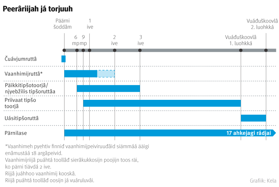 Pärniperrui torjuuh. Pärnipeerâ puáhtá finniđ jieškote-uvlágán Kela máksám torjuid päärni šodâdijn. Tággáár hiäđuh láá čuávjumruttâ, vaanhimijruttâ, päikkitipšotoorjâ já njyebžilis tipšoruttâ , priivaat tipšom toorjâ já uásiáigásâš tipšoruttâ. Pärnilase máksojeh ain šoddâmist 17 ahasâžân räi.